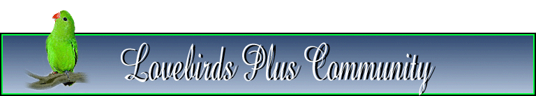 Lovebirds Plus Community